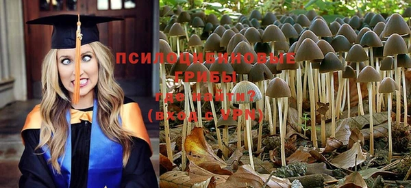 spice Волоколамск