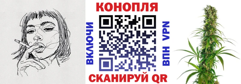 дарк нет наркотические препараты  купить   Верея  Бошки Шишки сатива 